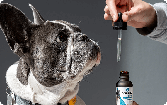 Up to 55% Off Your Order w/ Promo Code